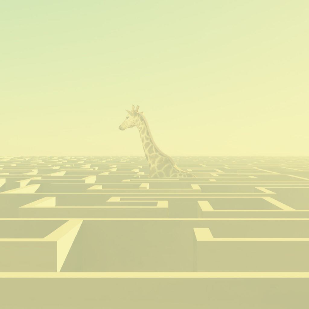 paragrafi_0003_brand positioning